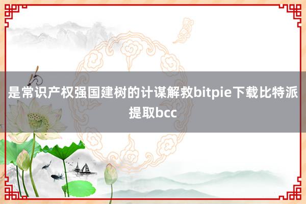 是常识产权强国建树的计谋解救bitpie下载比特派提取bcc