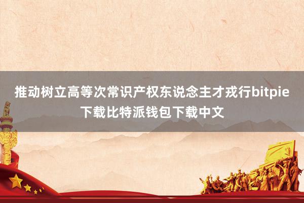 推动树立高等次常识产权东说念主才戎行bitpie下载比特派钱包下载中文