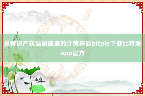 是常识产权强国建造的计策撑握bitpie下载比特派app官方