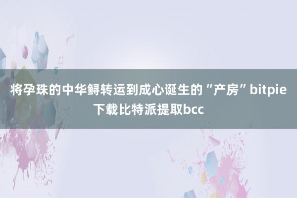 将孕珠的中华鲟转运到成心诞生的“产房”bitpie下载比特派提取bcc