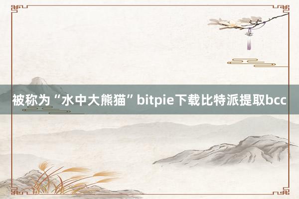 被称为“水中大熊猫”bitpie下载比特派提取bcc