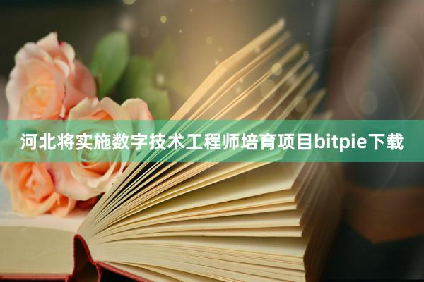 河北将实施数字技术工程师培育项目bitpie下载