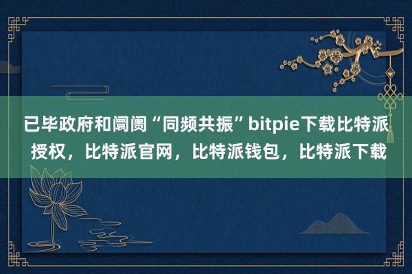 已毕政府和阛阓“同频共振”bitpie下载比特派 授权，比特派官网，比特派钱包，比特派下载