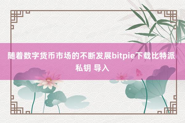 随着数字货币市场的不断发展bitpie下载比特派 私钥 导入