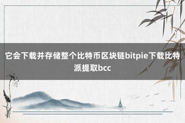 它会下载并存储整个比特币区块链bitpie下载比特派提取bcc