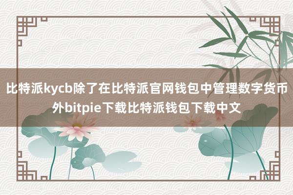 比特派kycb除了在比特派官网钱包中管理数字货币外bitpie下载比特派钱包下载中文