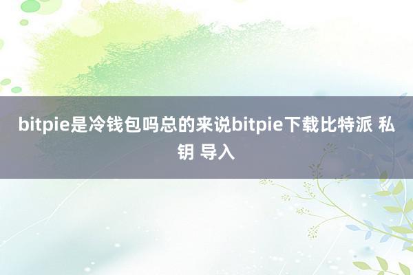 bitpie是冷钱包吗总的来说bitpie下载比特派 私钥 导入