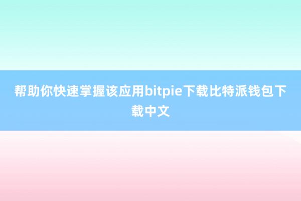 帮助你快速掌握该应用bitpie下载比特派钱包下载中文