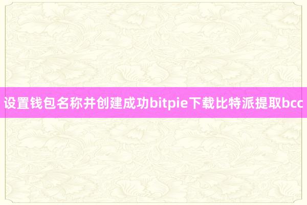 设置钱包名称并创建成功bitpie下载比特派提取bcc