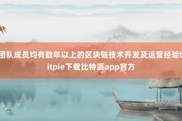 团队成员均有数年以上的区块链技术开发及运营经验bitpie下载比特派app官方