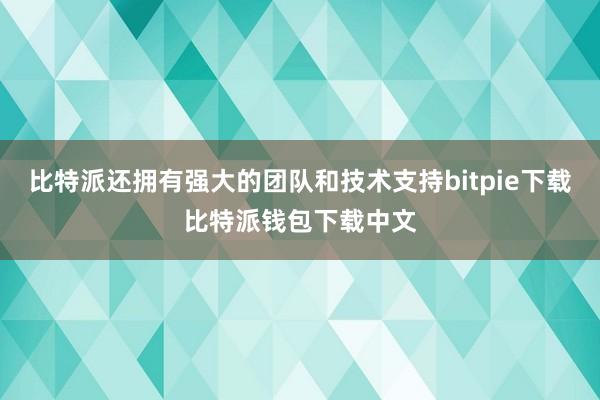 比特派还拥有强大的团队和技术支持bitpie下载比特派钱包下载中文