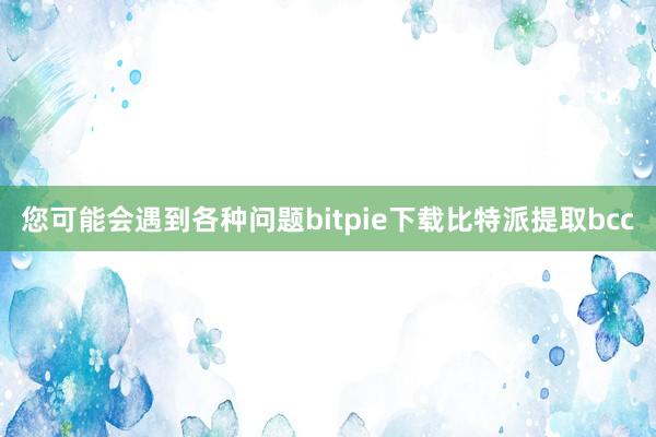 您可能会遇到各种问题bitpie下载比特派提取bcc