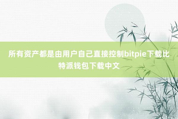 所有资产都是由用户自己直接控制bitpie下载比特派钱包下载中文