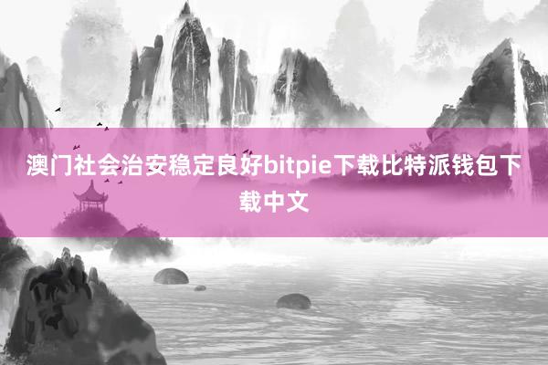 澳门社会治安稳定良好bitpie下载比特派钱包下载中文