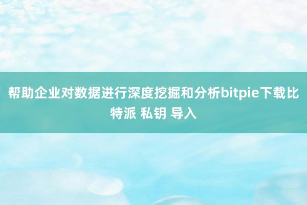 帮助企业对数据进行深度挖掘和分析bitpie下载比特派 私钥 导入