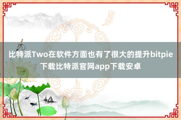 比特派Two在软件方面也有了很大的提升bitpie下载比特派官网app下载安卓