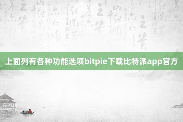 上面列有各种功能选项bitpie下载比特派app官方