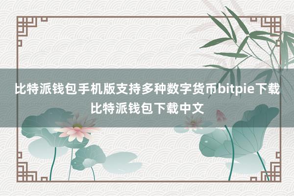 比特派钱包手机版支持多种数字货币bitpie下载比特派钱包下载中文