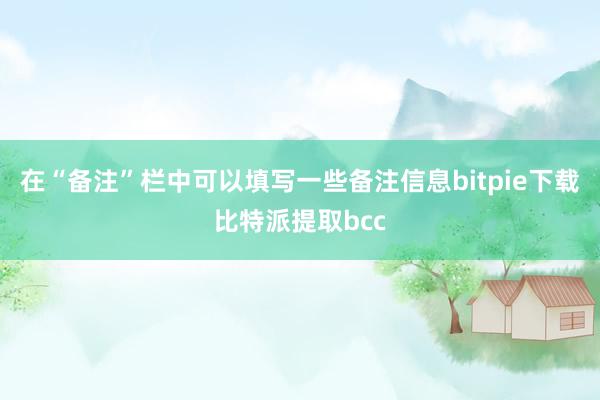 在“备注”栏中可以填写一些备注信息bitpie下载比特派提取bcc