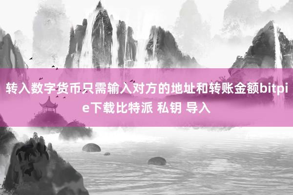 转入数字货币只需输入对方的地址和转账金额bitpie下载比特派 私钥 导入