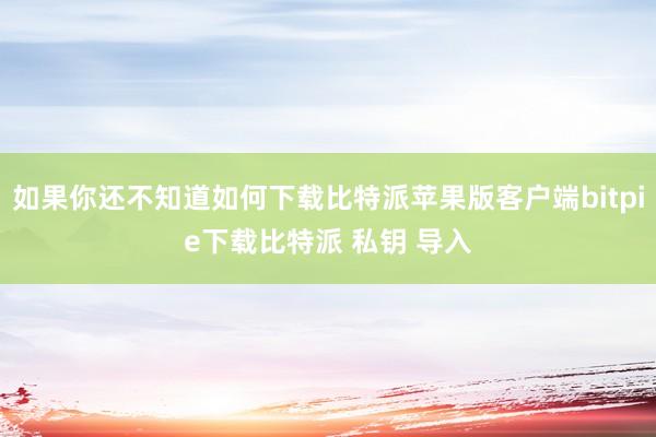 如果你还不知道如何下载比特派苹果版客户端bitpie下载比特派 私钥 导入