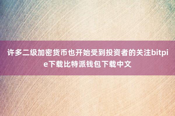 许多二级加密货币也开始受到投资者的关注bitpie下载比特派钱包下载中文