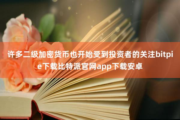 许多二级加密货币也开始受到投资者的关注bitpie下载比特派官网app下载安卓