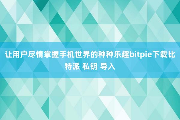 让用户尽情掌握手机世界的种种乐趣bitpie下载比特派 私钥 导入