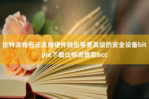 比特派钱包还支持硬件钱包等更高级的安全设备bitpie下载比特派提取bcc