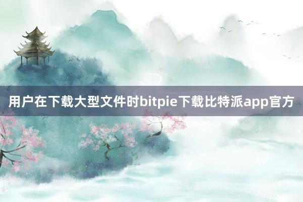 用户在下载大型文件时bitpie下载比特派app官方