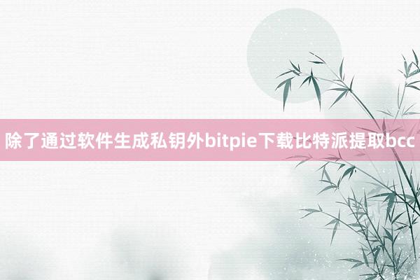 除了通过软件生成私钥外bitpie下载比特派提取bcc