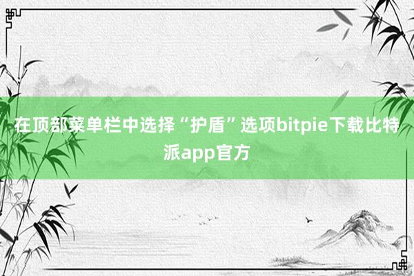 在顶部菜单栏中选择“护盾”选项bitpie下载比特派app官方