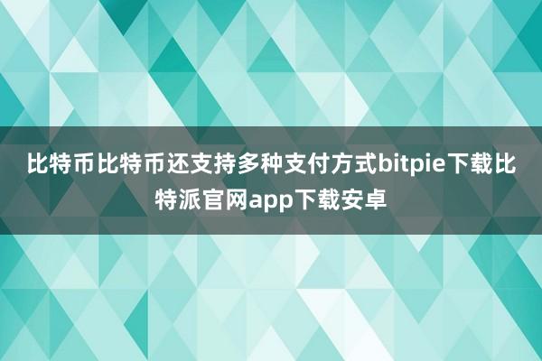 比特币比特币还支持多种支付方式bitpie下载比特派官网app下载安卓