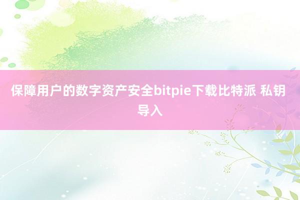 保障用户的数字资产安全bitpie下载比特派 私钥 导入