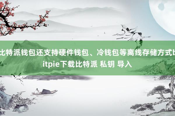 比特派钱包还支持硬件钱包、冷钱包等离线存储方式bitpie下载比特派 私钥 导入