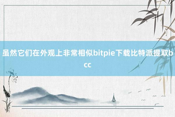 虽然它们在外观上非常相似bitpie下载比特派提取bcc