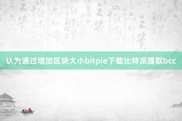 认为通过增加区块大小bitpie下载比特派提取bcc