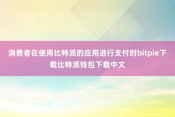 消费者在使用比特派的应用进行支付时bitpie下载比特派钱包下载中文