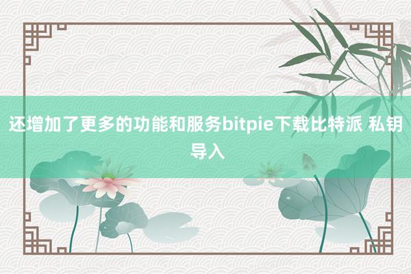 还增加了更多的功能和服务bitpie下载比特派 私钥 导入