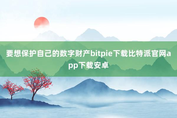 要想保护自己的数字财产bitpie下载比特派官网app下载安卓