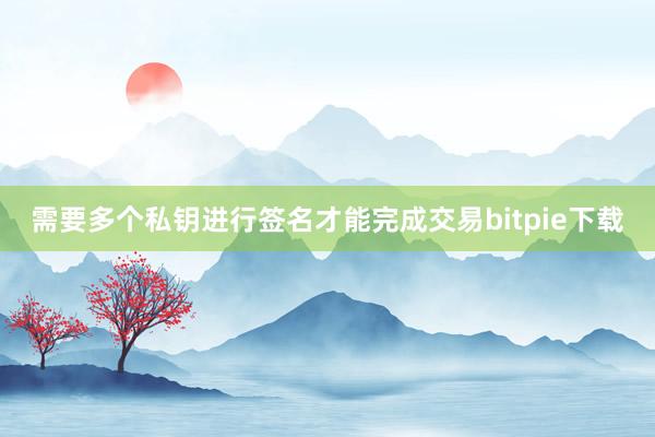 需要多个私钥进行签名才能完成交易bitpie下载