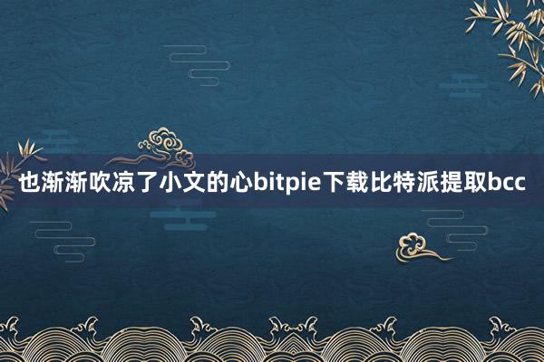 也渐渐吹凉了小文的心bitpie下载比特派提取bcc