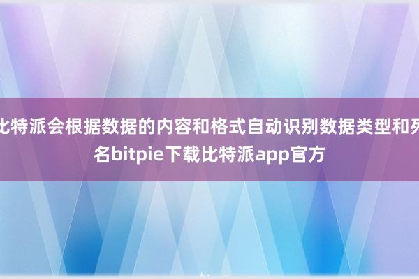 比特派会根据数据的内容和格式自动识别数据类型和列名bitpie下载比特派app官方