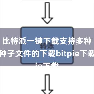 比特派一键下载支持多种种子文件的下载bitpie下载