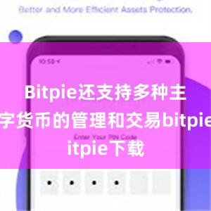 Bitpie还支持多种主流数字货币的管理和交易bitpie下载