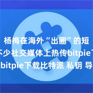 杨梅在海外“出圈”的短视频在不少社交媒体上热传bitpie下载比特派 私钥 导入