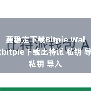 要稳定下载Bitpie Walletbitpie下载比特派 私钥 导入