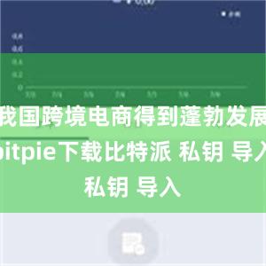 我国跨境电商得到蓬勃发展bitpie下载比特派 私钥 导入