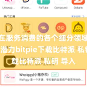 在服务消费的各个细分领域中挖掘潜力bitpie下载比特派 私钥 导入