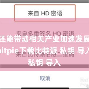 还能带动相关产业加速发展bitpie下载比特派 私钥 导入